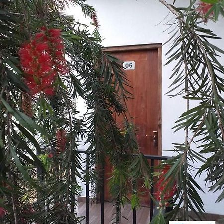 Travel Nest Daire Badulla Dış mekan fotoğraf