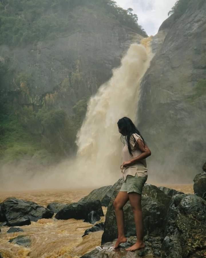 Travel Nest Daire Badulla Dış mekan fotoğraf