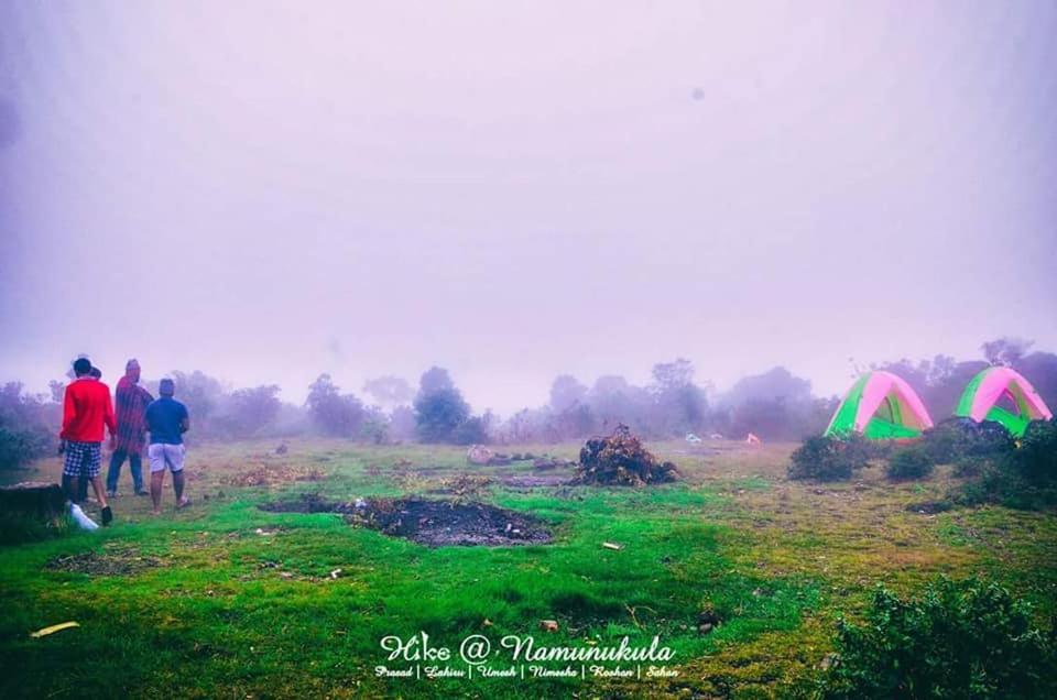 Travel Nest Daire Badulla Dış mekan fotoğraf